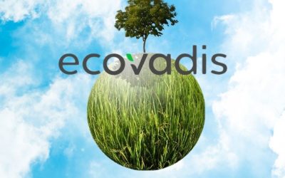 EcoVadis Danışmanlığı