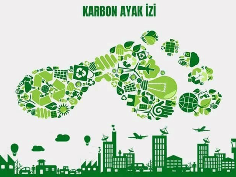 Karbon Ayak İzi Danışmanlığı